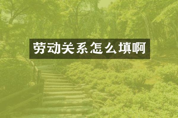 劳动关系怎么填啊