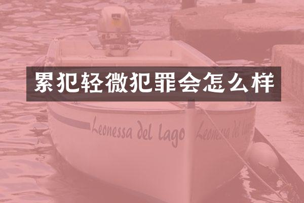 轻微犯罪会怎么样