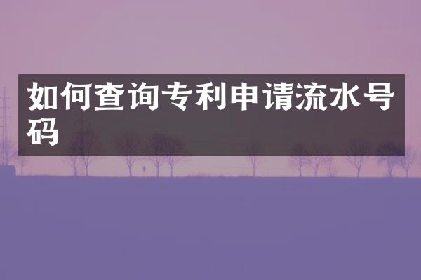 如何查询专利申请流水号码