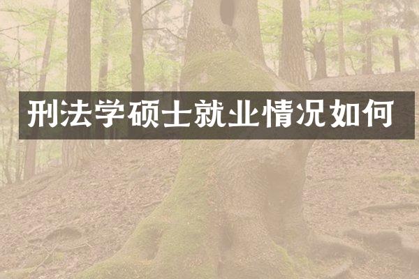 刑法学硕士就业情况如何