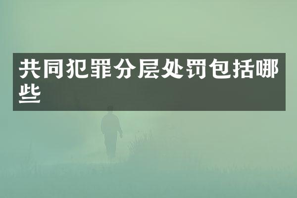 共同犯罪分层处罚包括哪些
