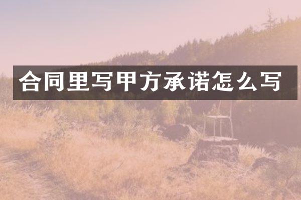 合同里写甲方承诺怎么写