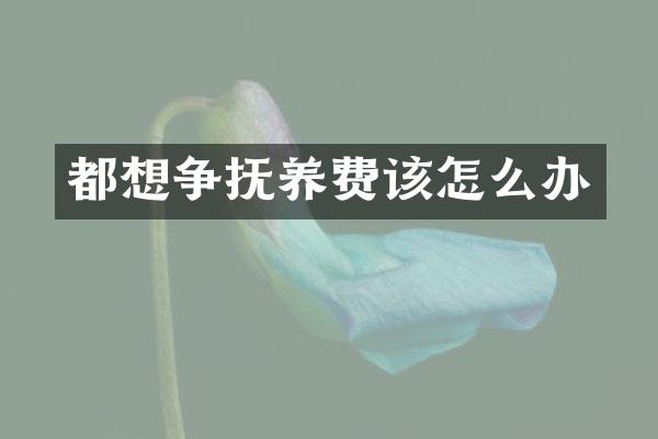 都想争抚养费该怎么办