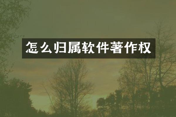 怎么归属软件著作权