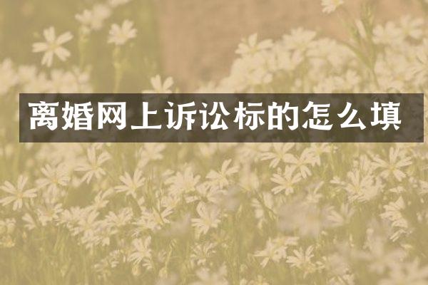 离婚网上诉讼标的怎么填
