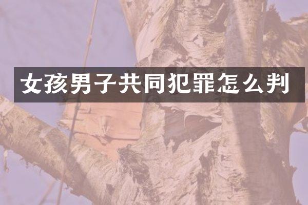 女孩男子共同犯罪怎么判