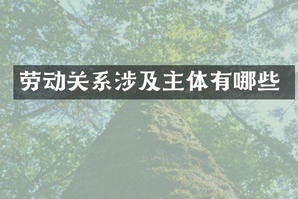 劳动关系涉及主体有哪些