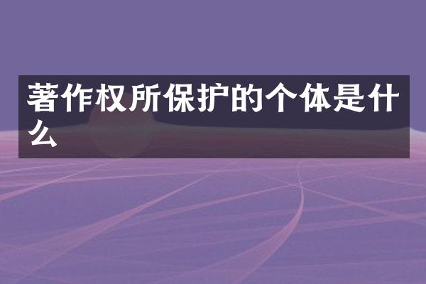 著作权所保护的个体是什么