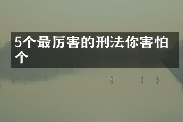 5个最厉害的刑法你害怕哪个