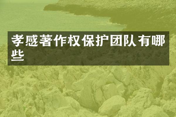 孝感著作权保护团队有哪些