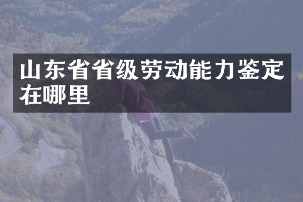 山东省省级劳动能力鉴定在哪里