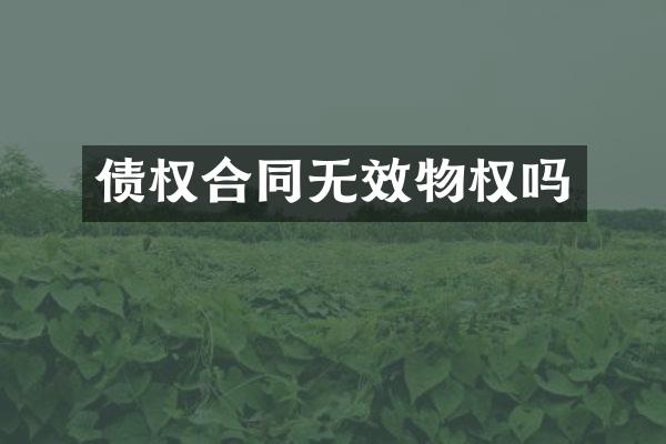 债权合同无效物权吗