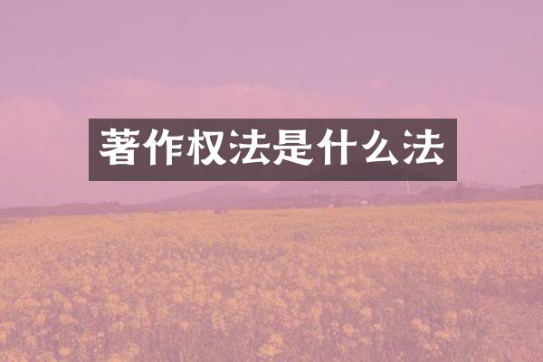 著作权法是什么法