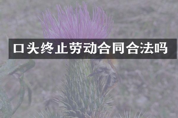 口头终止劳动合同合法吗