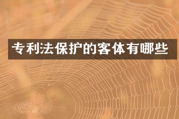 专利法保护的客体有哪些