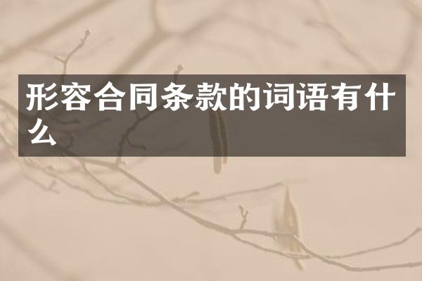 形容合同条款的词语有什么