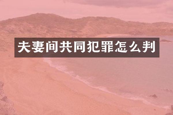 夫妻间共同犯罪怎么判