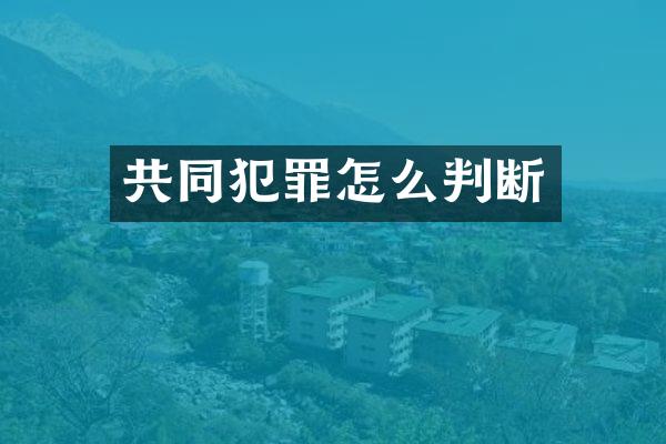 共同犯罪怎么判断