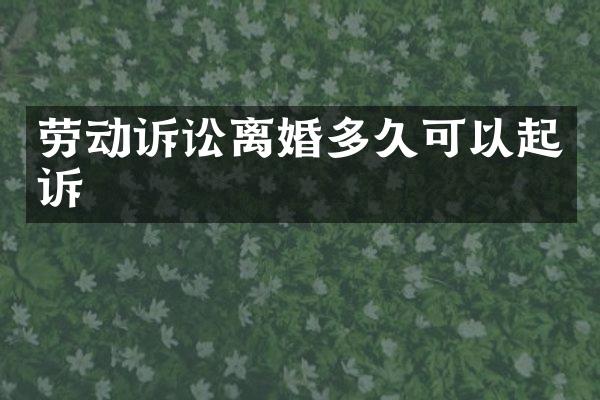 劳动诉讼离婚多久可以起诉