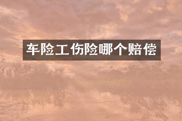 车险工伤险哪个赔偿