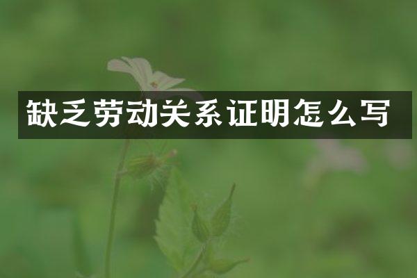 缺乏劳动关系证明怎么写