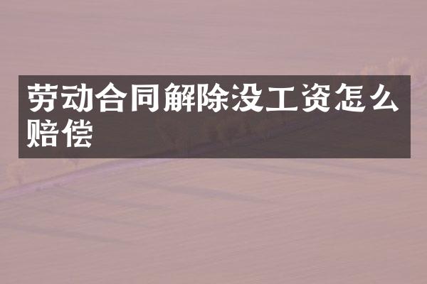 劳动合同解除没工资怎么赔偿