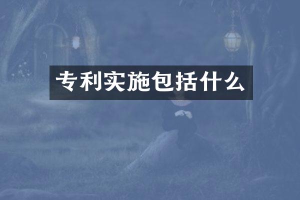 专利实施包括什么