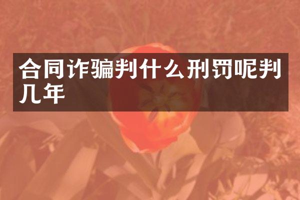 合同诈骗判什么刑罚呢判几年