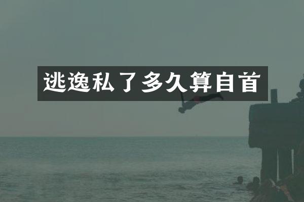 逃逸私了多久算自首