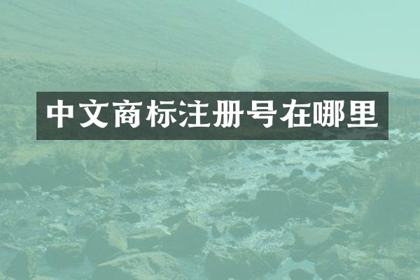 中文商标注册号在哪里
