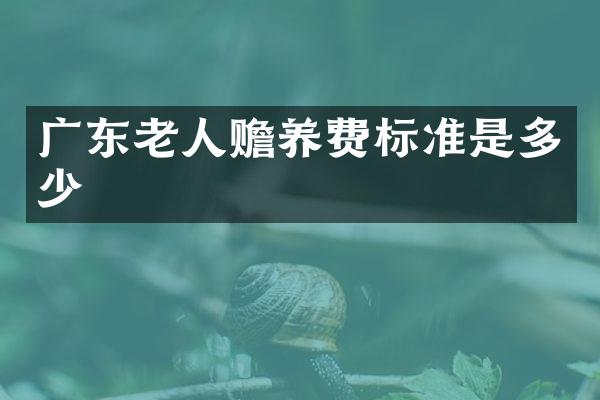 广东老人赡养费标准是多少
