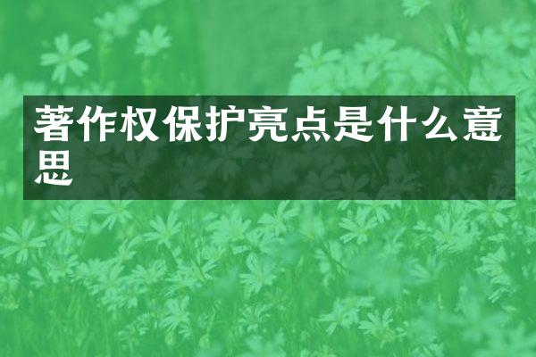 著作权保护亮点是什么意思