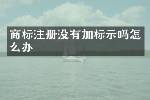 商标注册没有加标示吗怎么办
