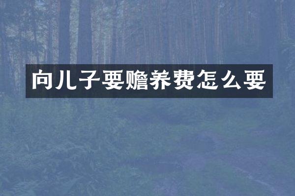 向儿子要赡养费怎么要