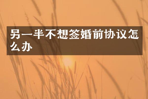 另一半不想签婚前协议怎么办