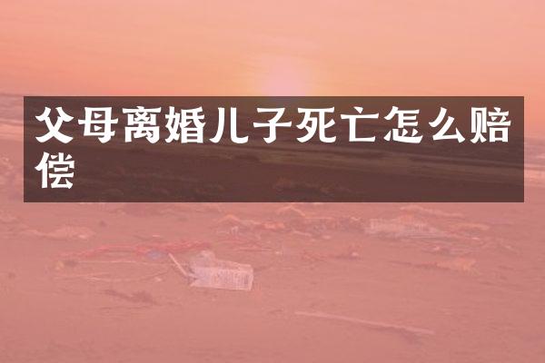 父母离婚儿子死亡怎么赔偿