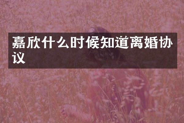嘉欣什么时候知道离婚协议