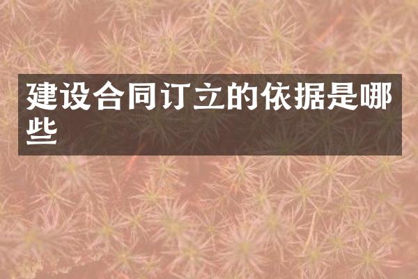 建设合同订立的依据是哪些
