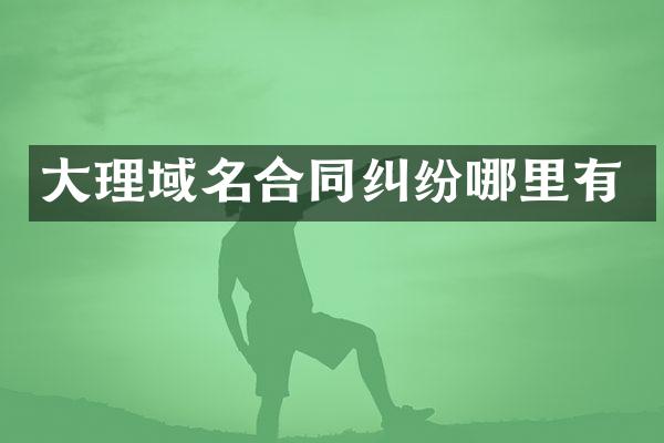 大理域名合同纠纷哪里有