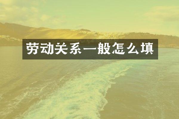 劳动关系一般怎么填