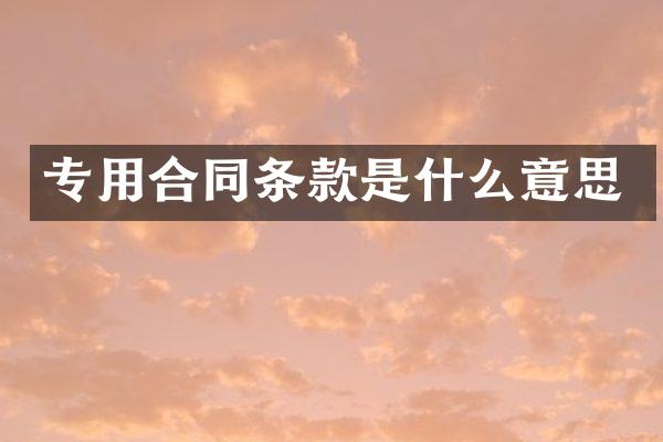 专用合同条款是什么意思