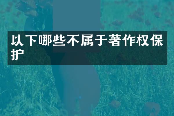 以下哪些不属于著作权保护