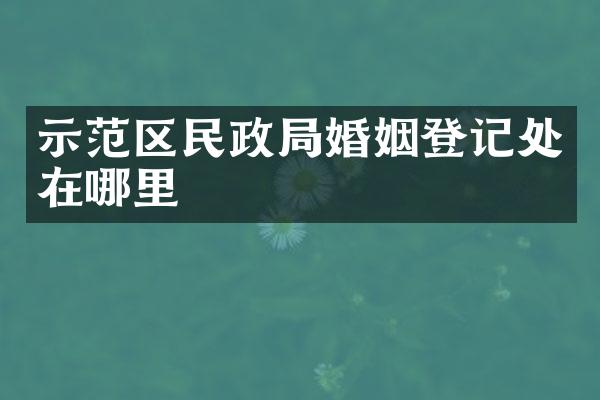 示范区民政局婚姻登记处在哪里