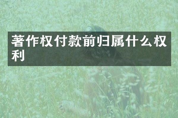 著作权付款前归权利