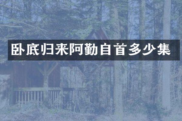 卧底归来阿勤自首多少集