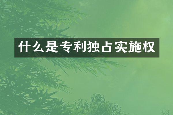 什么是专利独占实施权