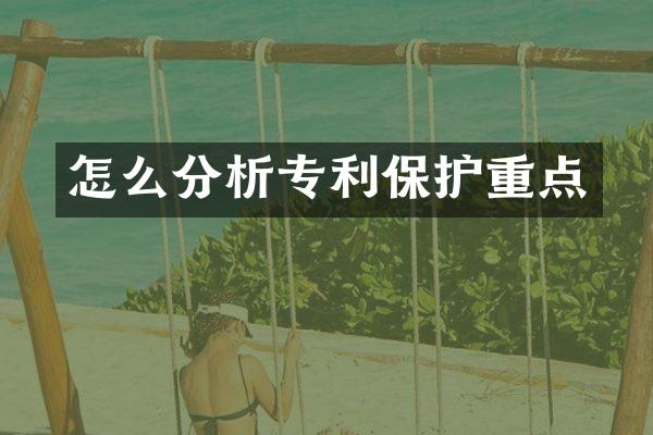 怎么分析专利保护重点