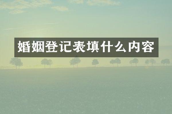 婚姻登记表填什么内容