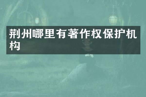 荆州哪里有著作权保护机构
