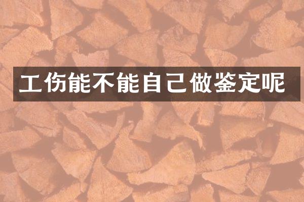 工伤能不能自己做鉴定呢